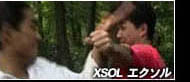 XSOL